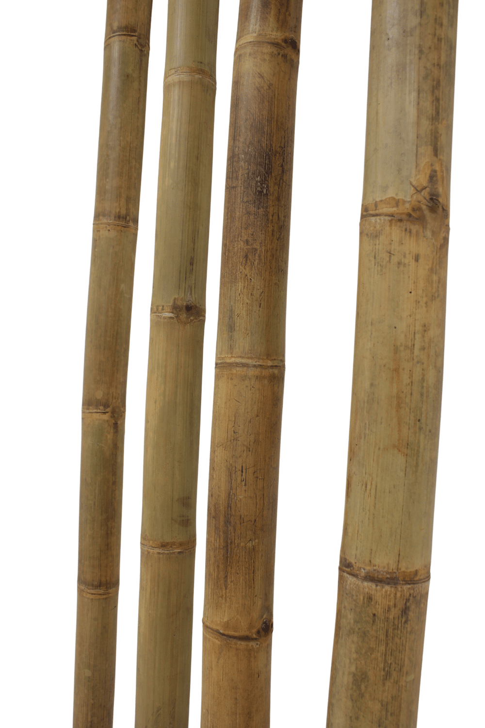 BAMBOE PALEN