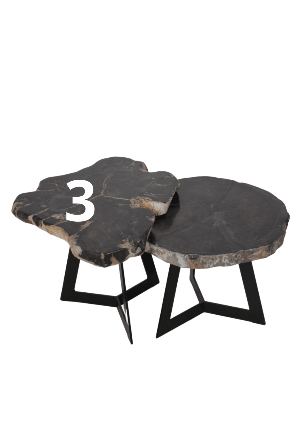 Versteend Hout 3