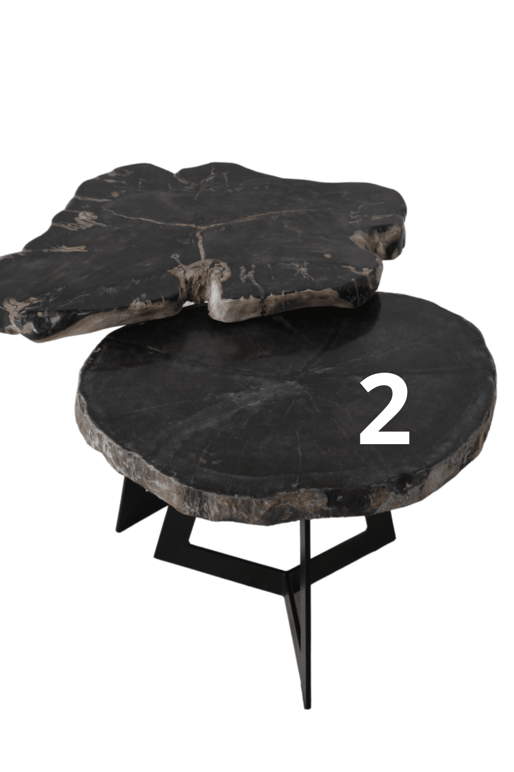 Versteend Houten Salontafel Nr 2