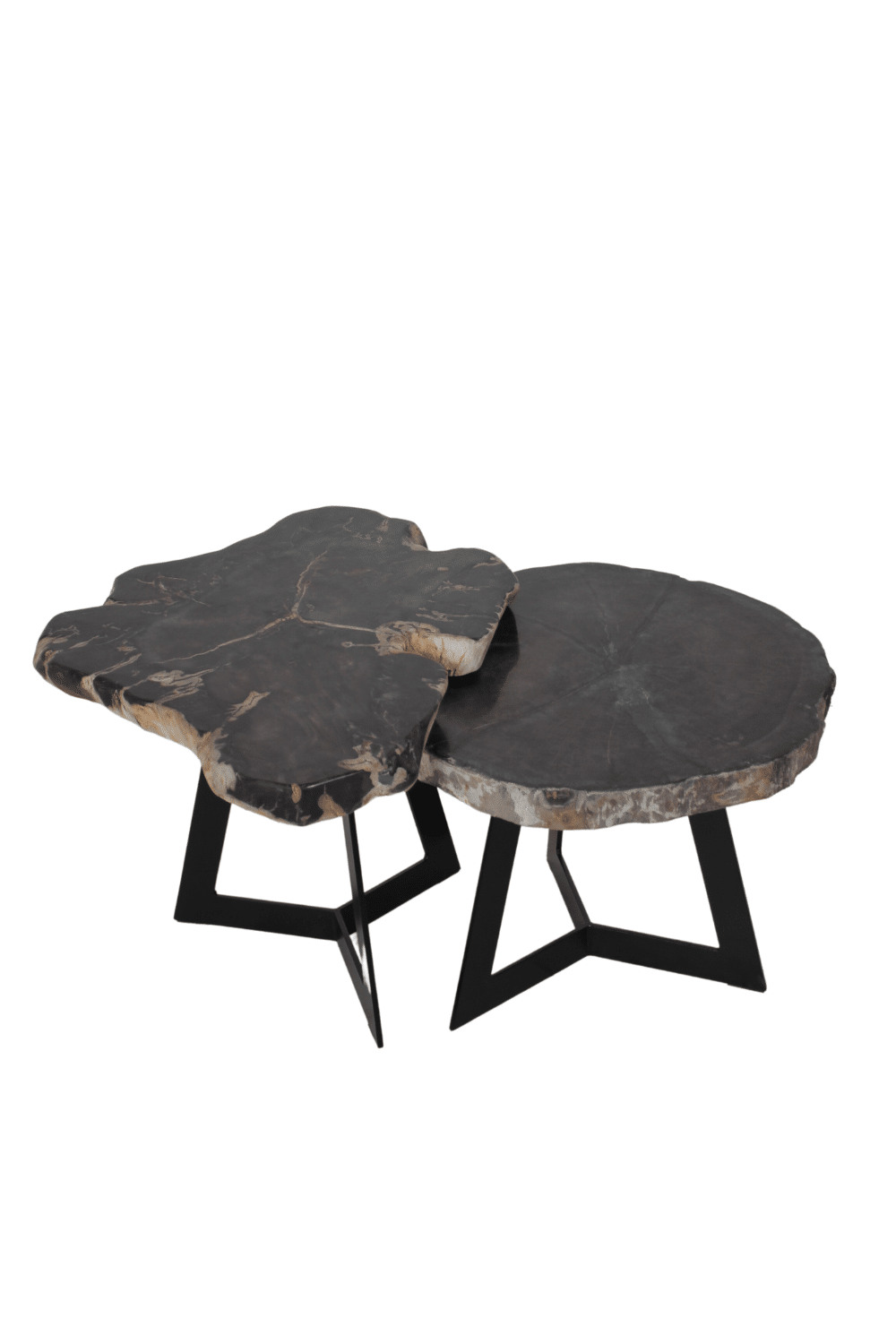 versteend houten salontafel zwart fossile bijzettafeltje