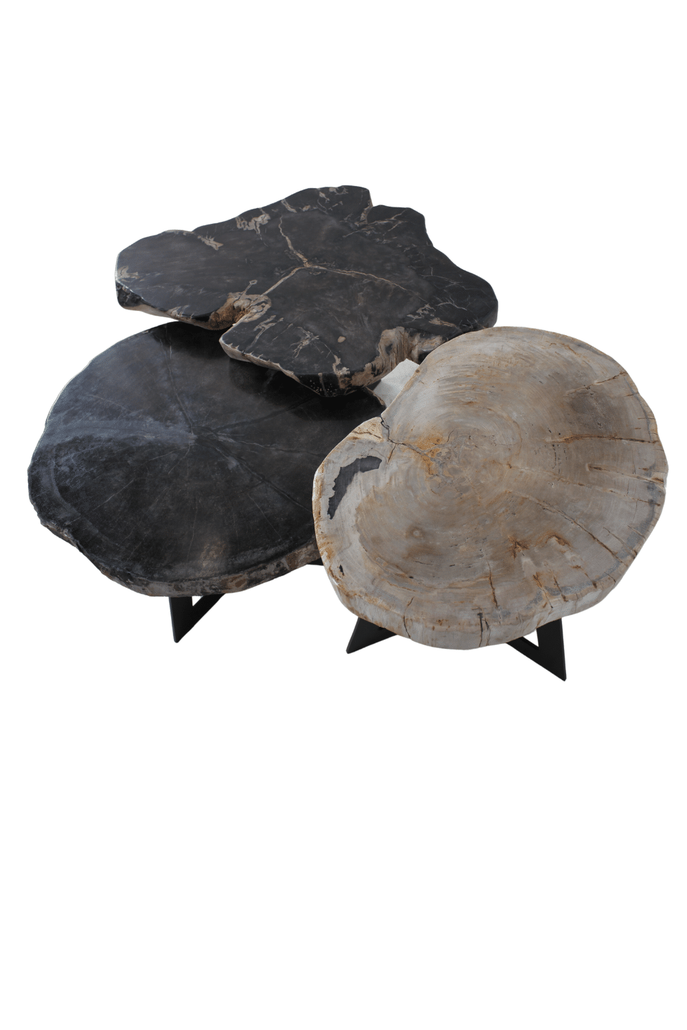 versteend houten salontafel zwart fossile bijzettafeltje