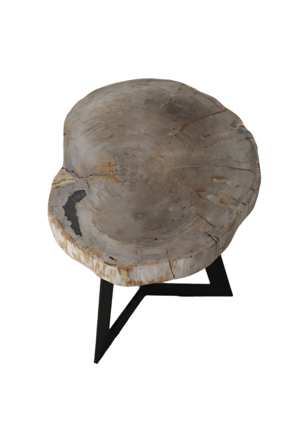versteend houten salontafel zwart fossile bijzettafeltje
