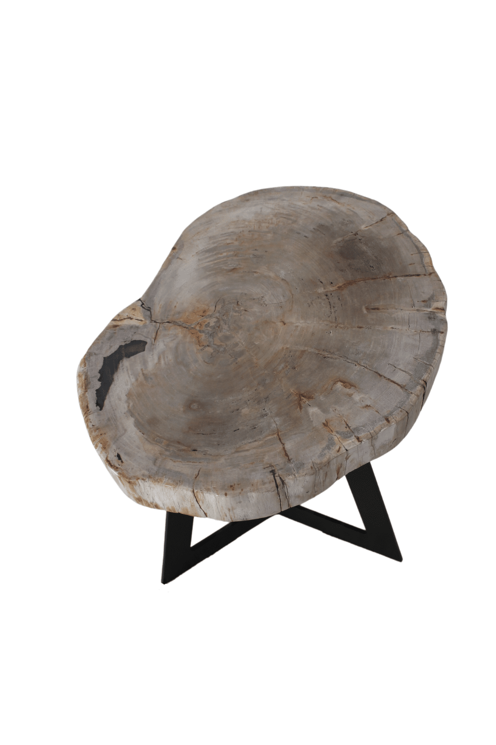 versteend houten salontafel zwart fossile bijzettafeltje