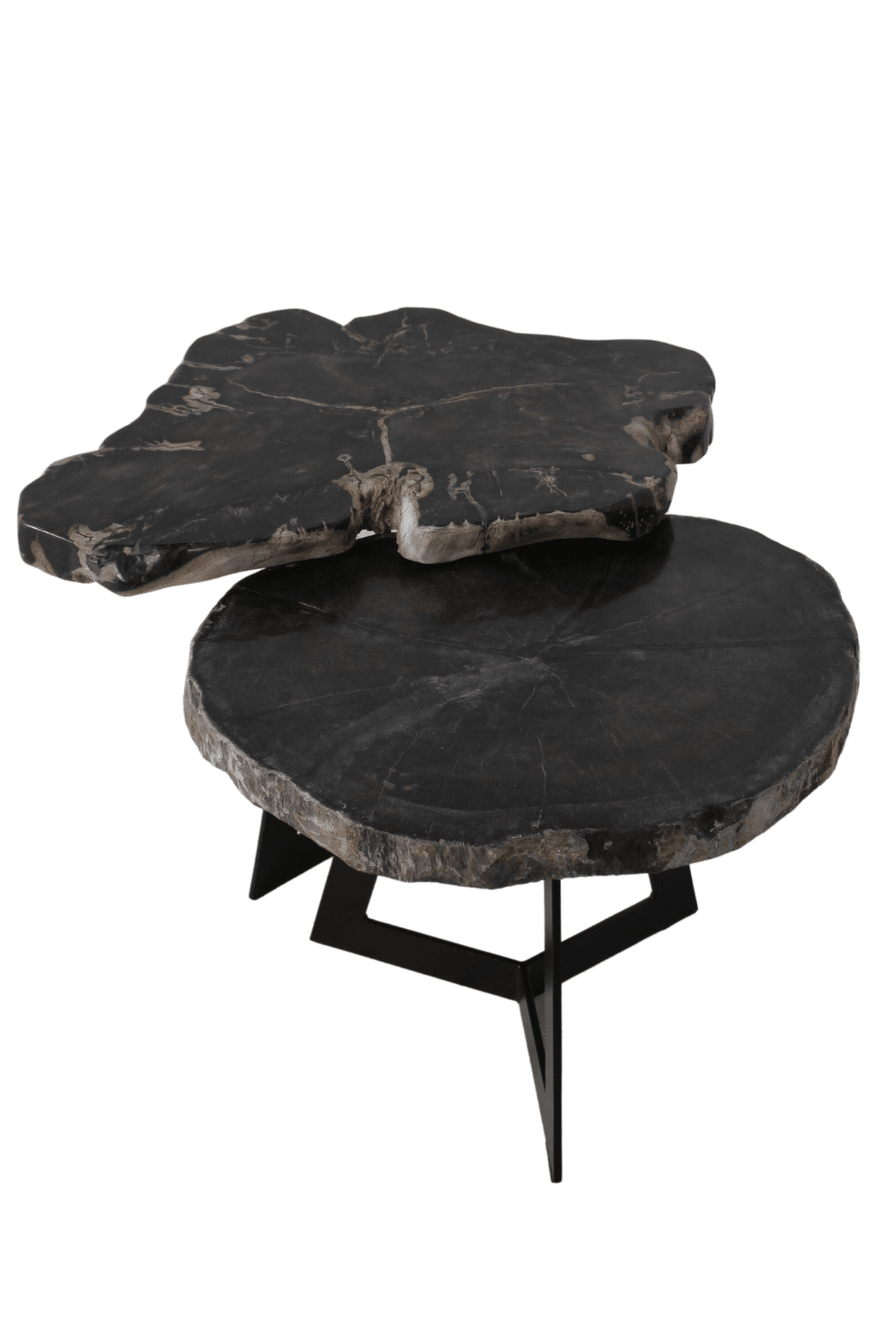 versteend houten salontafel zwart fossile bijzettafeltje