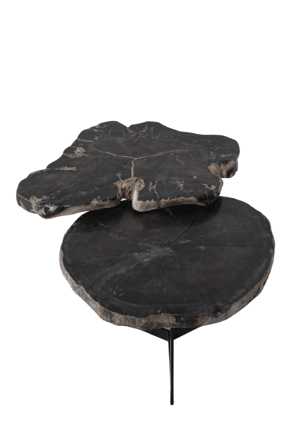 versteend houten salontafel zwart fossile bijzettafeltje
