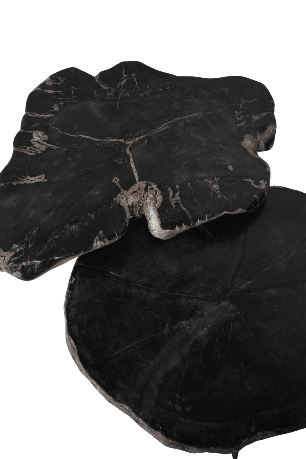 versteend houten salontafel zwart fossile bijzettafeltje