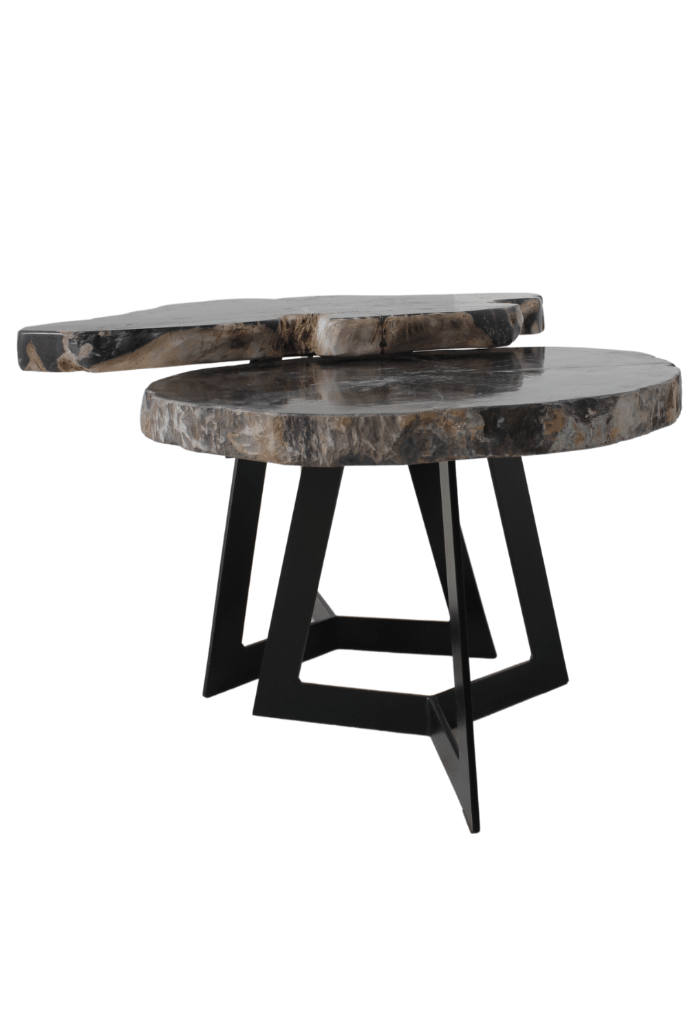 versteend houten salontafel zwart fossile bijzettafeltje
