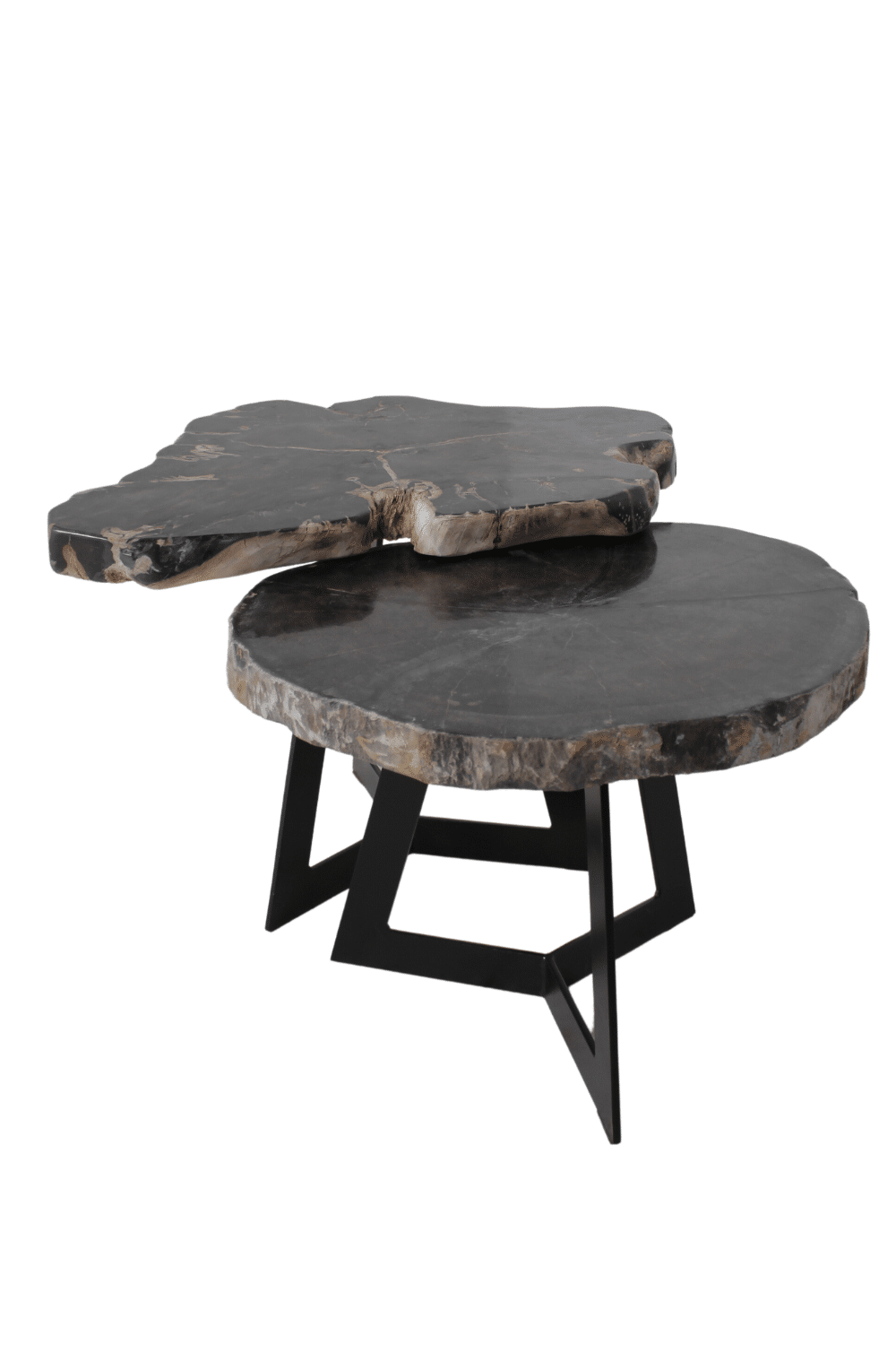 versteend houten salontafel zwart fossile bijzettafeltje