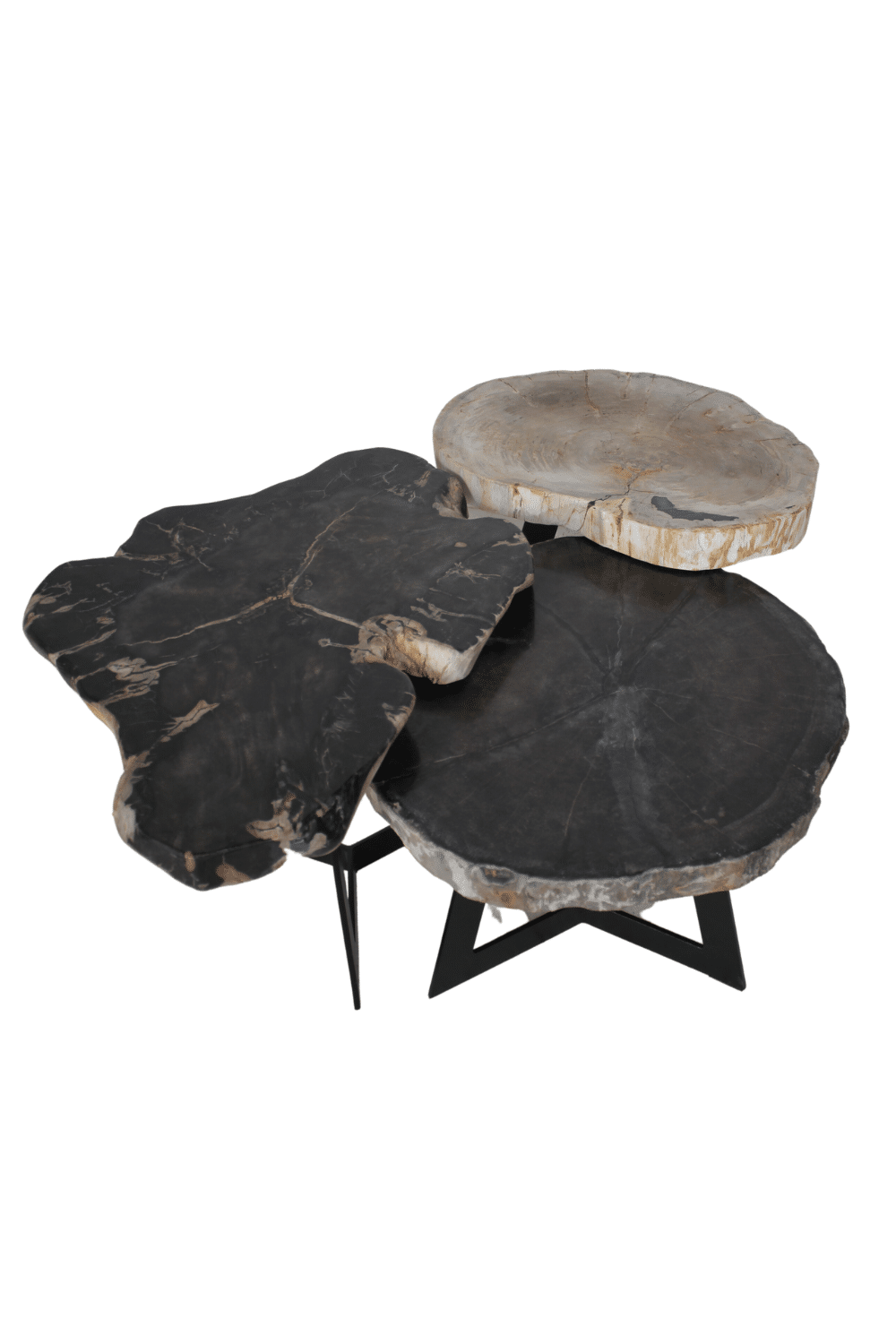 versteend houten salontafel zwart fossile bijzettafeltje