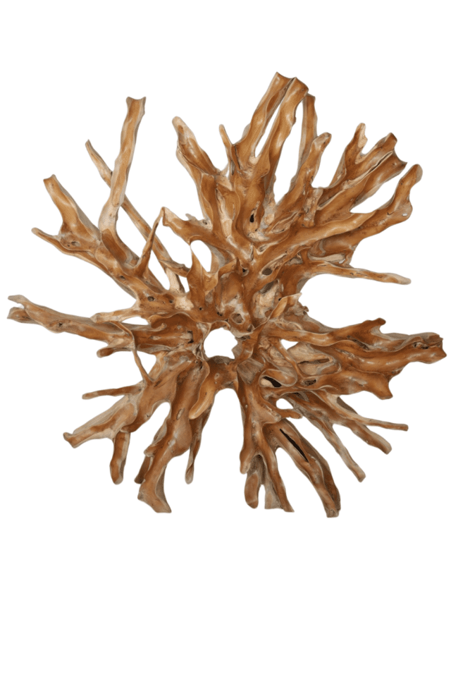 grote teak houten wortel wanddecoratie van hout 200x40x200 cm