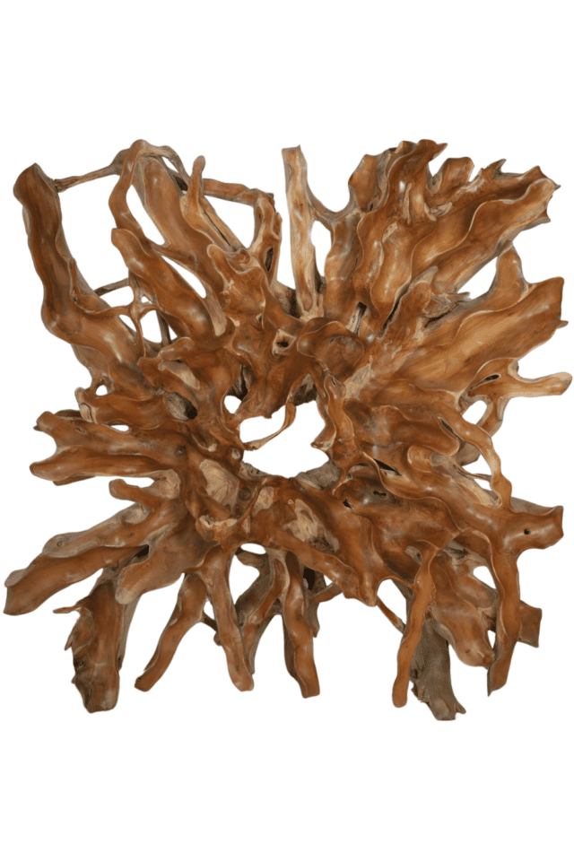 grote unieke boom wortel wanddecoratie 200x45x200 cm