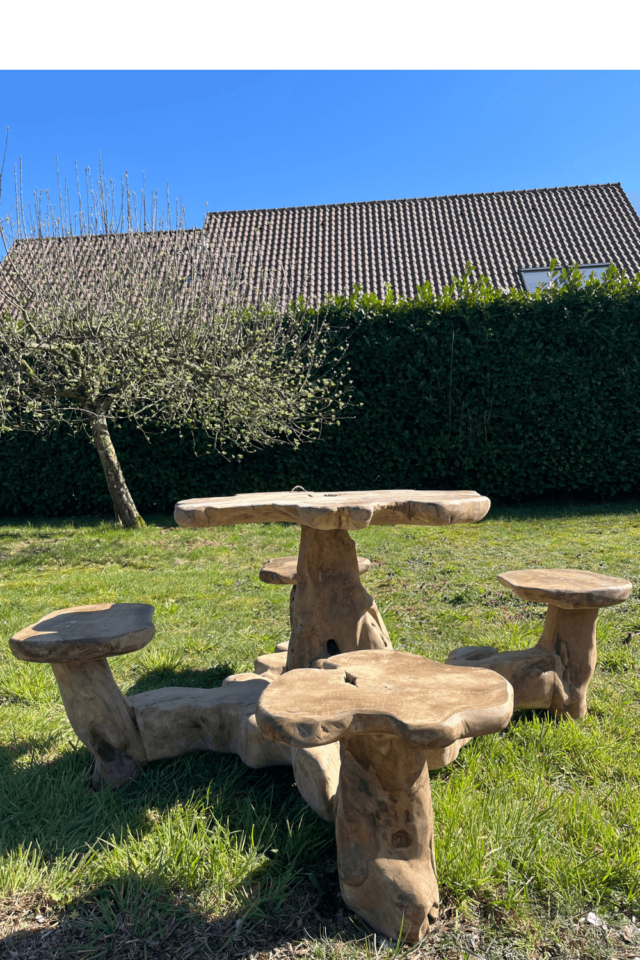 Picknicktafel rond in de vorm van een paddenstoel tafel met stoeltjes voor buiten